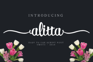 Alitta Font Review: Elevating Campaign Visuals