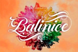 Balinice Font Review: Elevating Campaign Visuals