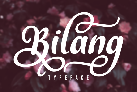 Bilang Font: Bold Script for Handmade Labels