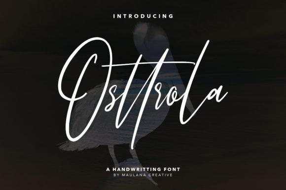Boost Your Campaign with Osttrola: A Modern Script Font
