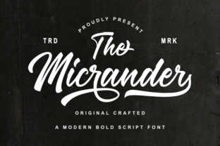 Discover The Micrander: A Dynamic Script Font for Web Design