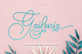 Enhance Your Brand with Gailenia: A Romantic Script Font
