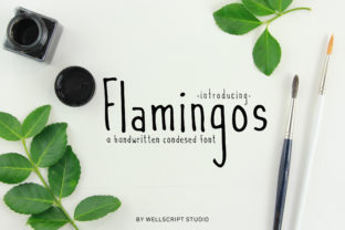 Flamingos: A Charming Script Font for Your Brand