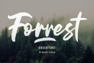 Forrest: A Script Font for Authentic and Engaging Visuals