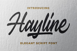Hayline: A Bold and Charming Font for Editorial Design