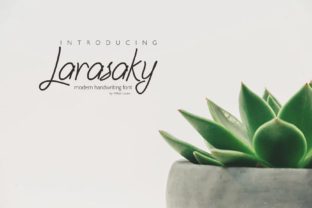 Larasaky: A Luxurious Script Font for Eye-Catching Campaigns