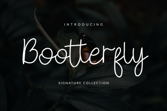 Transform Your Brand with Bootterfly: A Modern Script Font