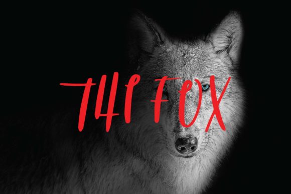 Transform Your Brand with The Fox Font
